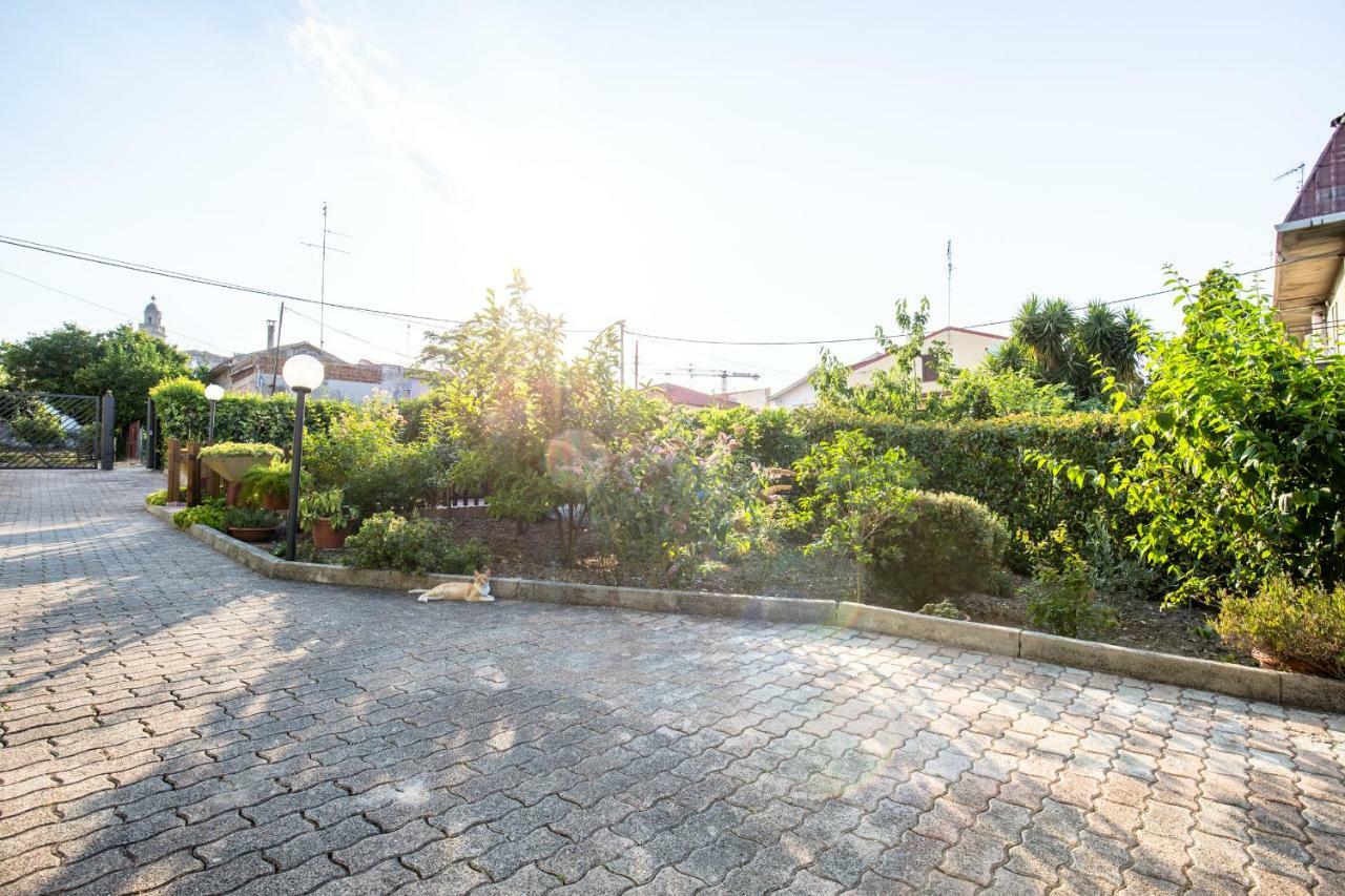 Selene Beb Acomodação com café da manhã Casalbordino Exterior foto